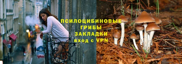 дживик Алзамай